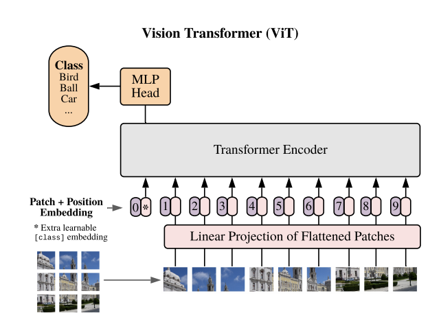 ViT_model