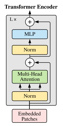 Transformer Encoder