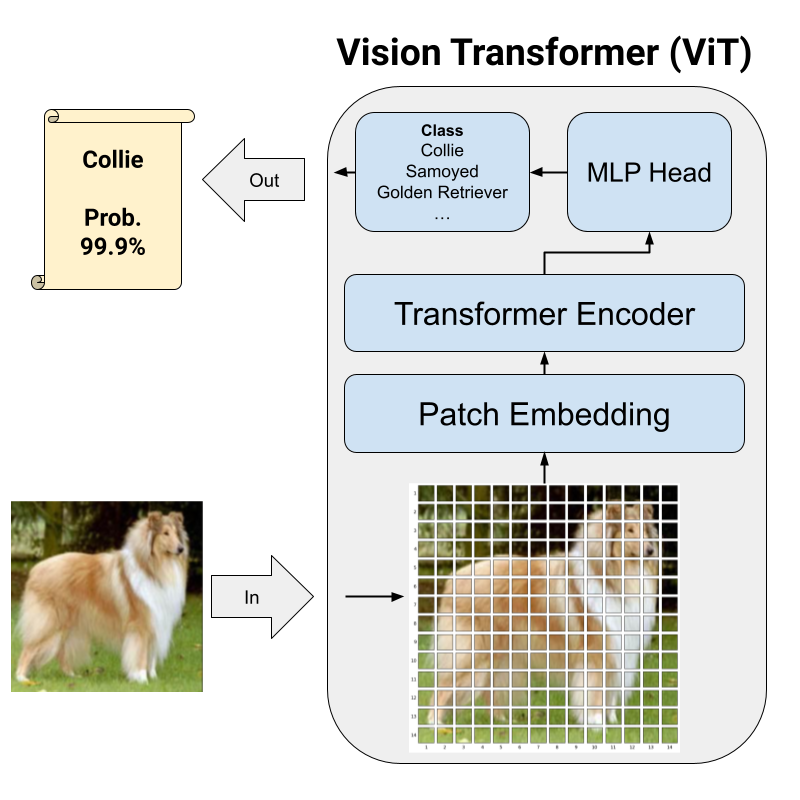 ViT Image Classifiation